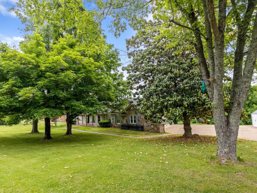 Property Image 46