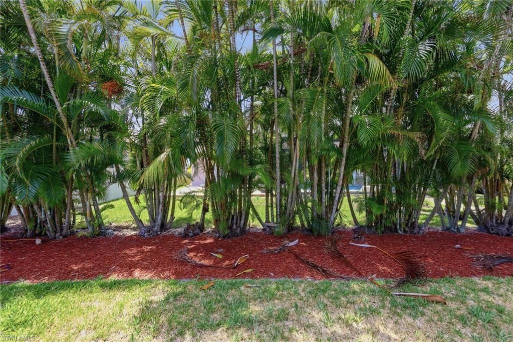 4406 SW 25th Ct, Cape Coral, FL 33914 Photo