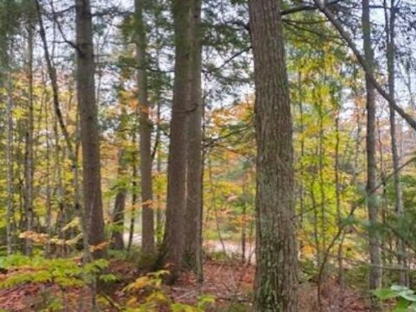 2137 N Hulbert RD, Paradise, MI 49768
