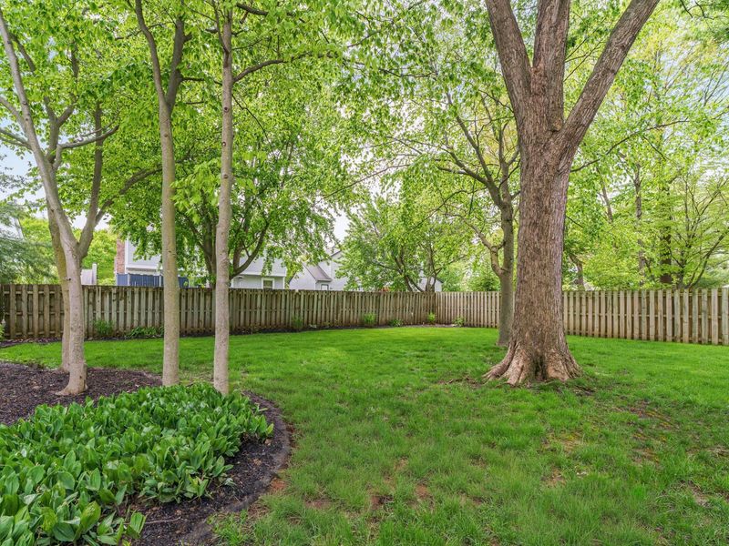 2431 Wyncourtney Court, Powell, OH 43065 Photo 31