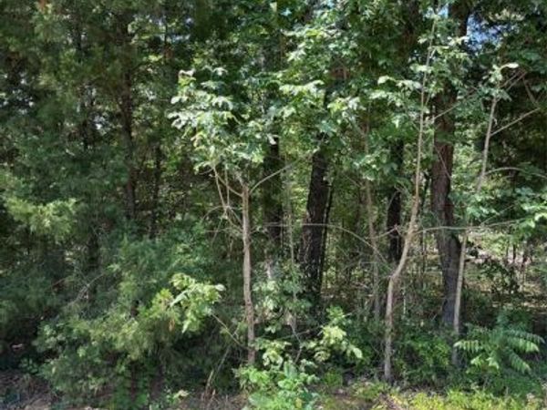 106 Red Bluff Loop, Mabank, TX 75156