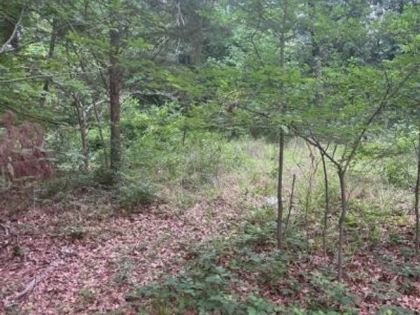 106 Red Bluff Loop, Mabank, TX 75156