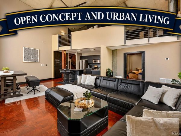 1050 Cherokee Street, Unit 301, Denver, CO 80204