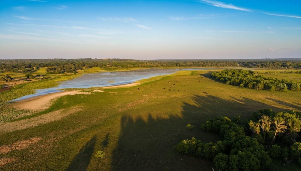Mondon Hill Road, Brooksville, FL 34601 Photo