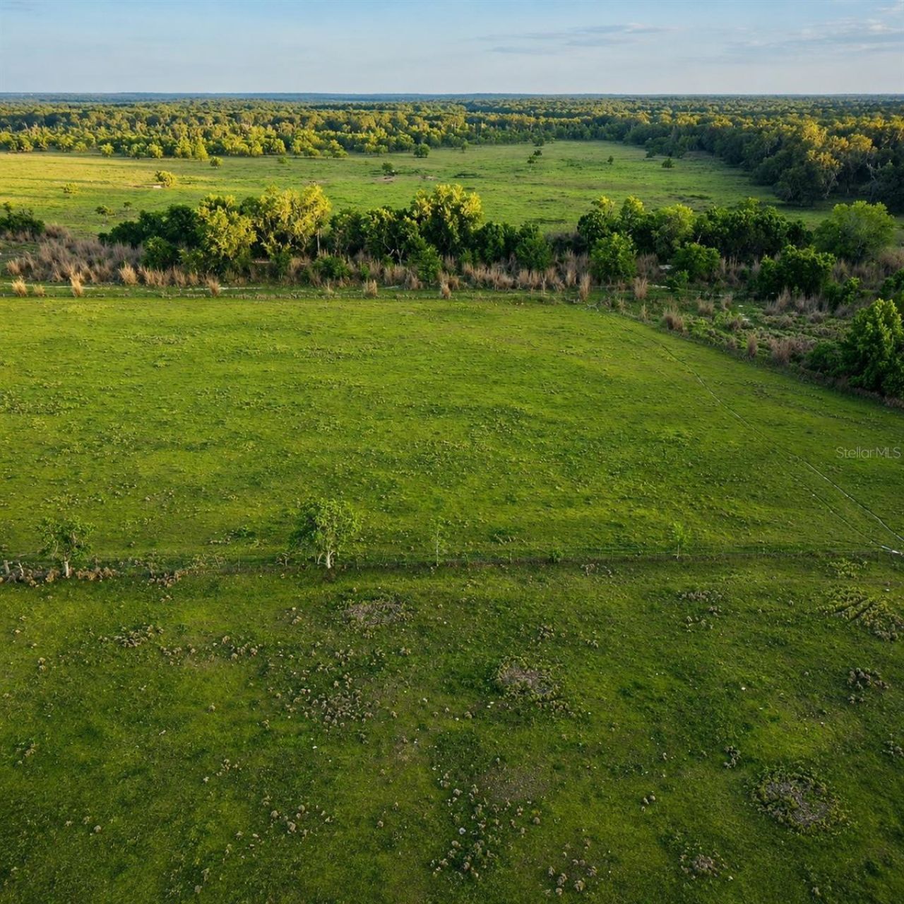Mondon Hill Road, Brooksville, FL 34601 Photo
