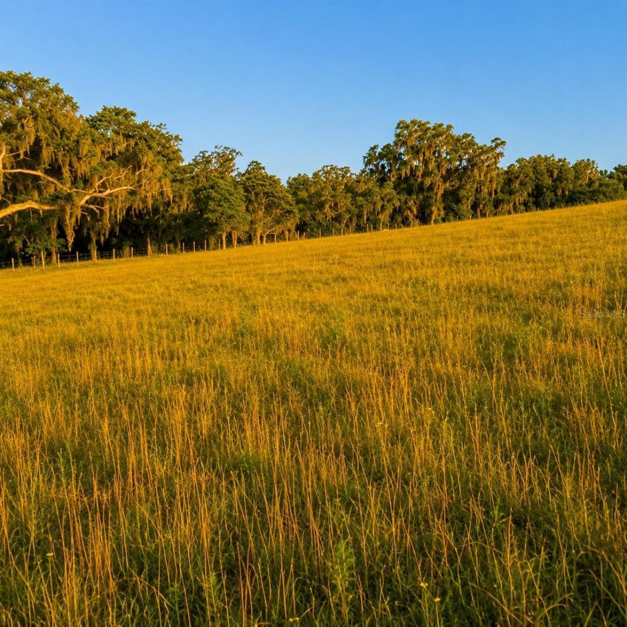 Mondon Hill Road, Brooksville, FL 34601 Photo