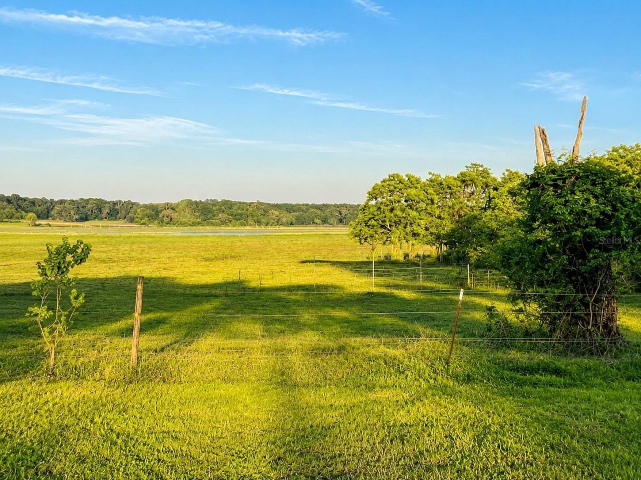 Mondon Hill Road, Brooksville, FL 34601 Photo