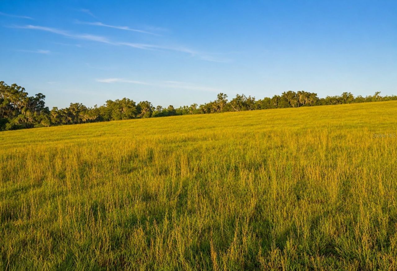 Mondon Hill Road, Brooksville, FL 34601 Photo