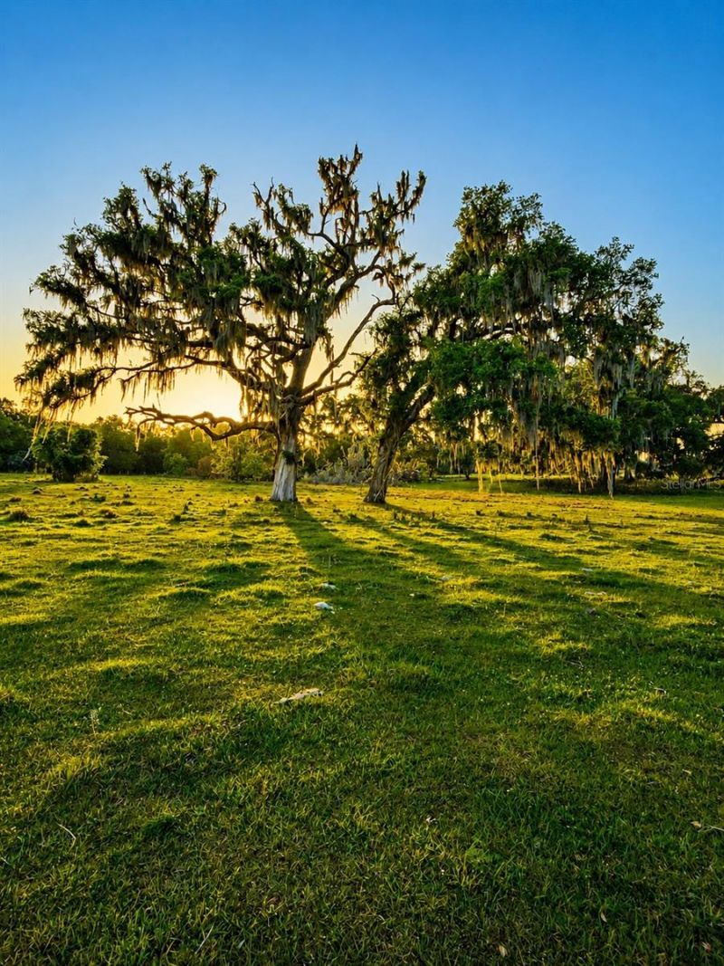 Mondon Hill Road, Brooksville, FL 34601 Photo