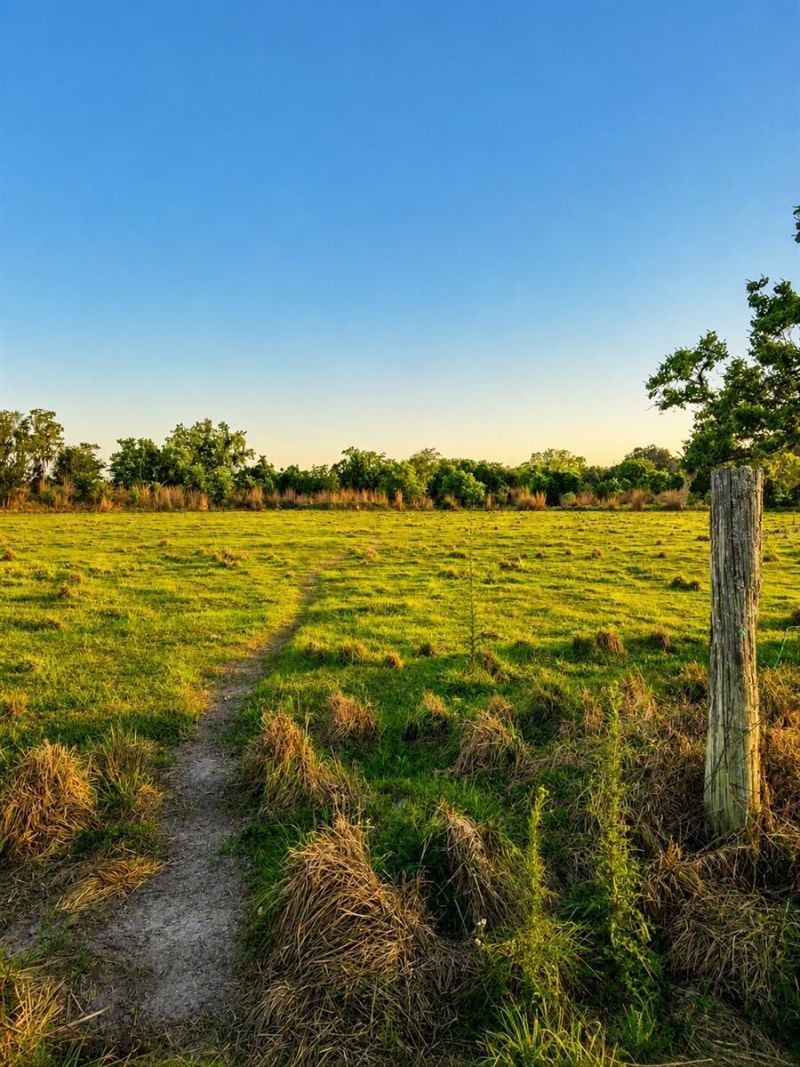 Mondon Hill Road, Brooksville, FL 34601 Photo