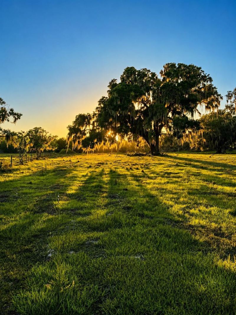 Mondon Hill Road, Brooksville, FL 34601 Photo