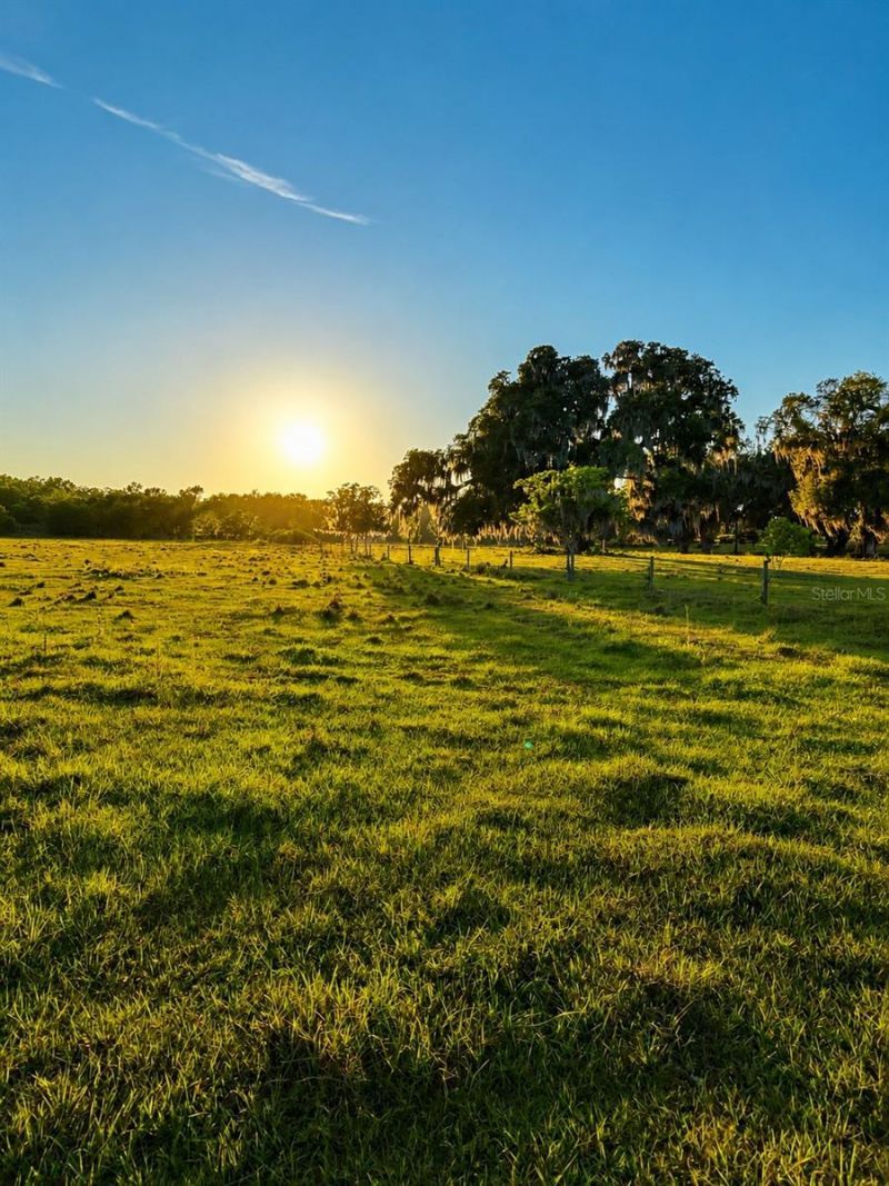 Mondon Hill Road, Brooksville, FL 34601 Photo