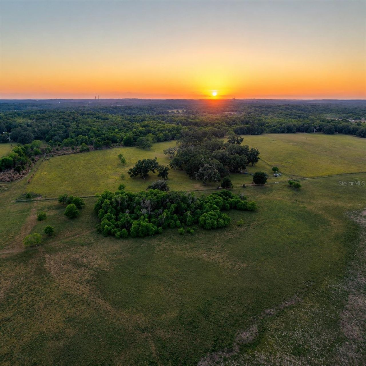 Mondon Hill Road, Brooksville, FL 34601 Photo