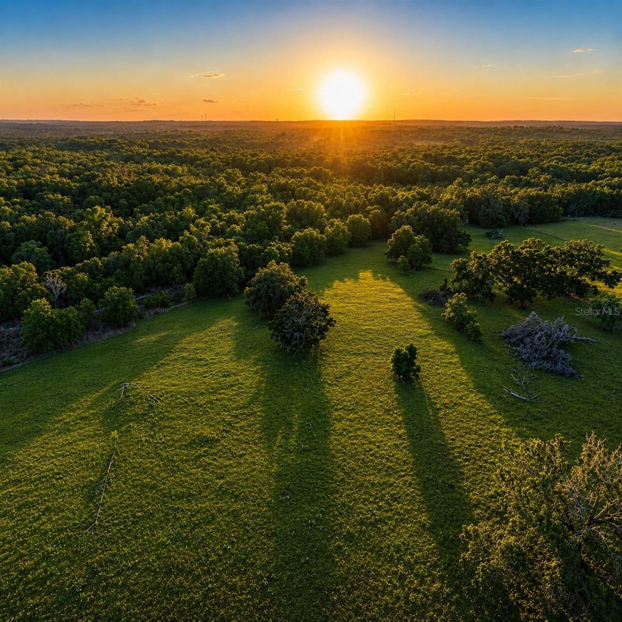 Mondon Hill Road, Brooksville, FL 34601 Photo