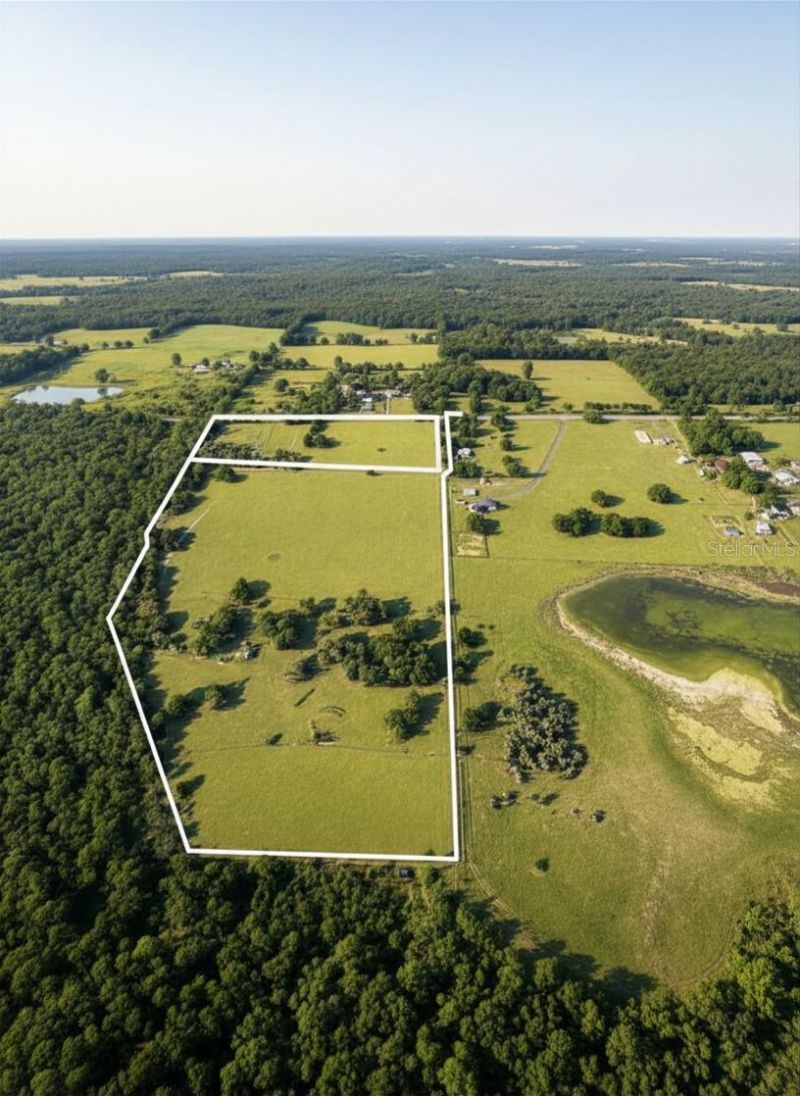 Mondon Hill Road, Brooksville, FL 34601 Photo