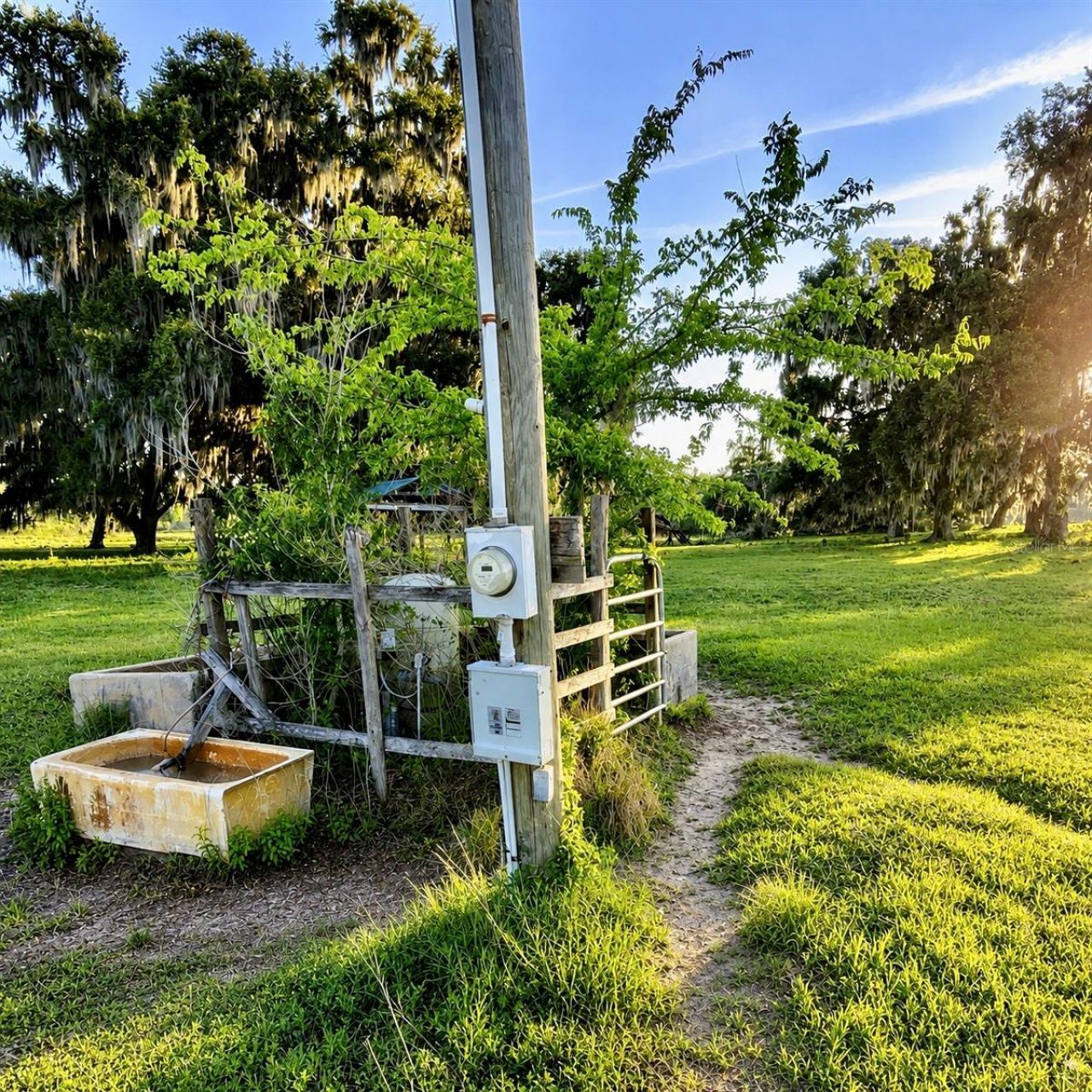 Mondon Hill Road, Brooksville, FL 34601 Photo