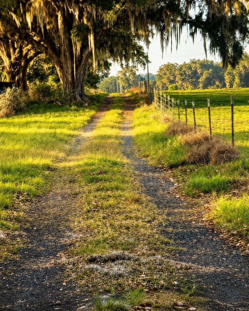 Mondon Hill Road, Brooksville, FL 34601 Photo
