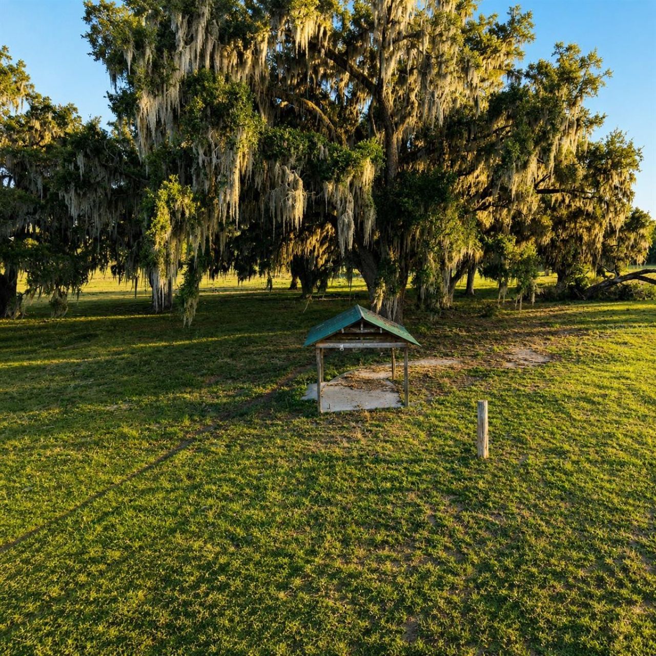 Mondon Hill Road, Brooksville, FL 34601 Photo