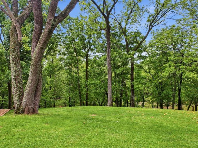 2169 Three Mile Creek Road, Ripley, OH 45167 Photo 30