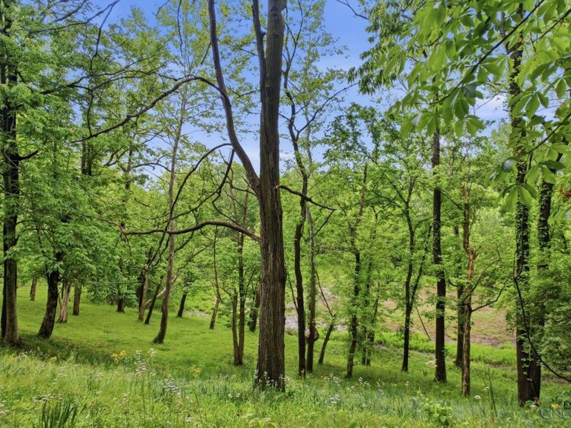 2169 Three Mile Creek Road, Ripley, OH 45167 Photo 31