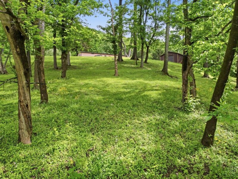 2169 Three Mile Creek Road, Ripley, OH 45167 Photo 33