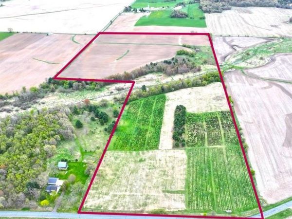 60 acres S. Pole Grove Rd, Hixton, WI 54635