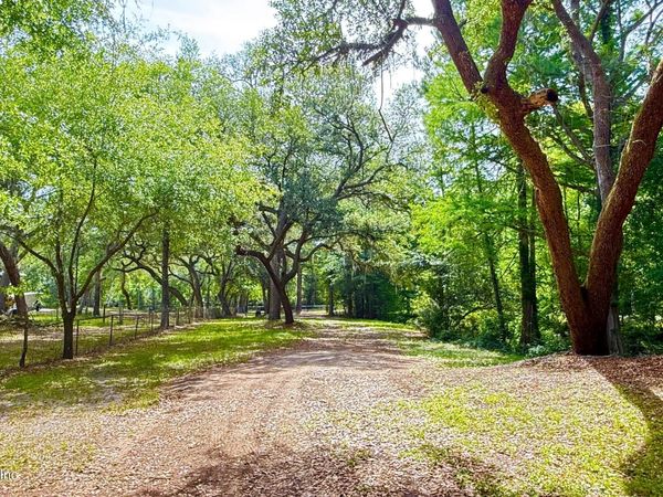 2905 CREEK Street, Middleburg, FL 32068