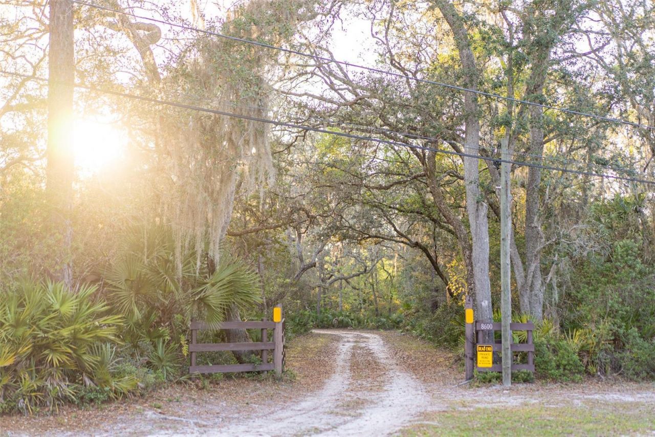 8600 NE 147th Avenue Road, Silver Springs, FL 34488 Photo