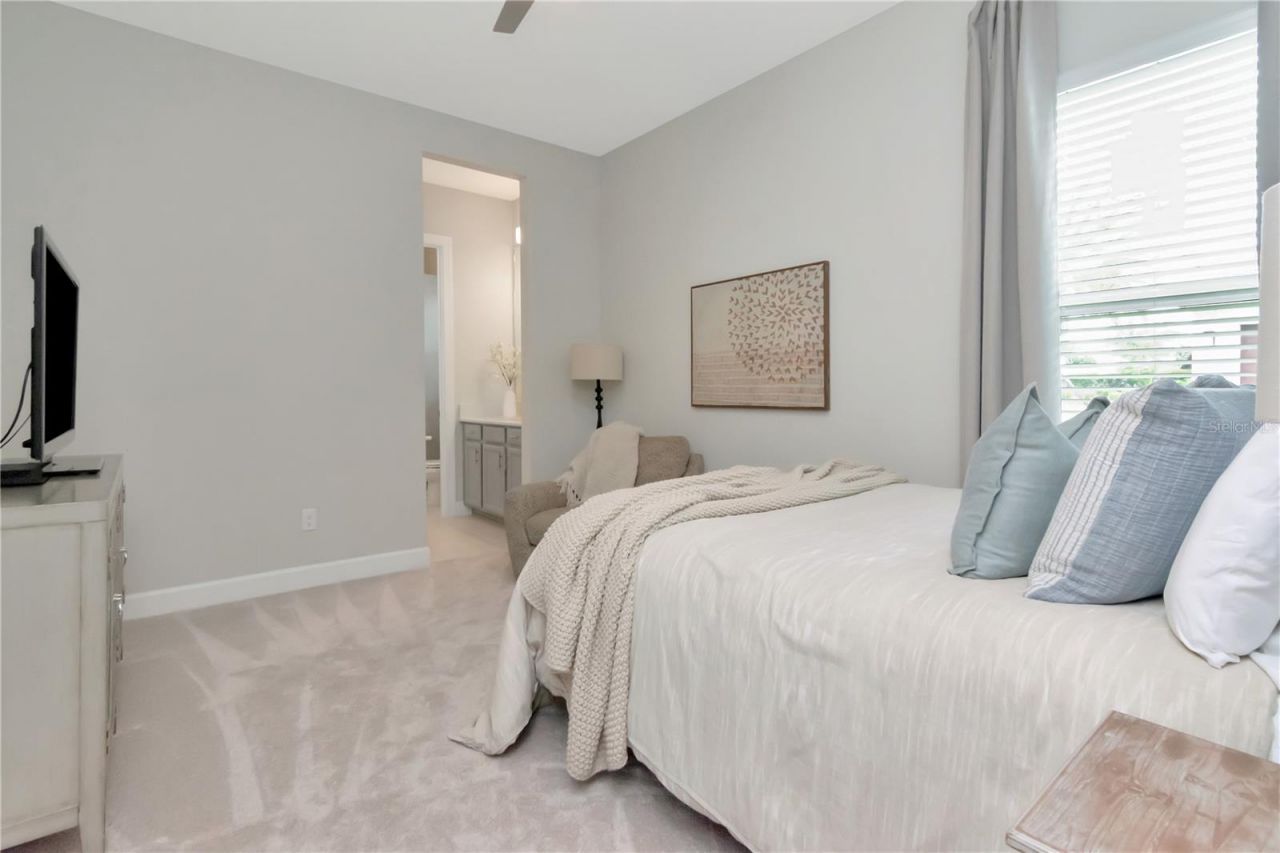2686 Meander Cove, Wesley Chapel, FL 33543 Photo