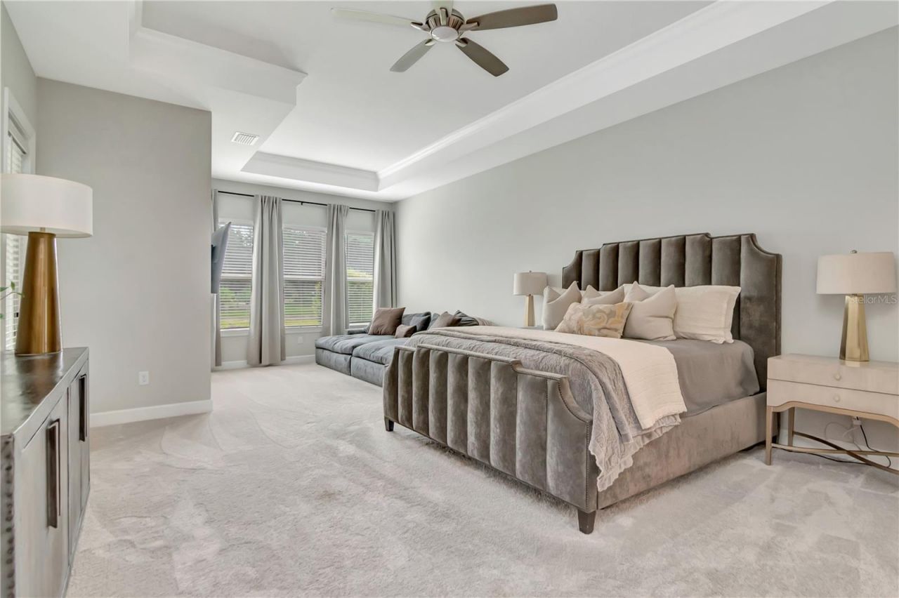 2686 Meander Cove, Wesley Chapel, FL 33543 Photo