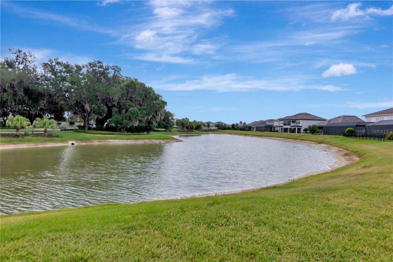 2686 Meander Cove, Wesley Chapel, FL 33543 Photo