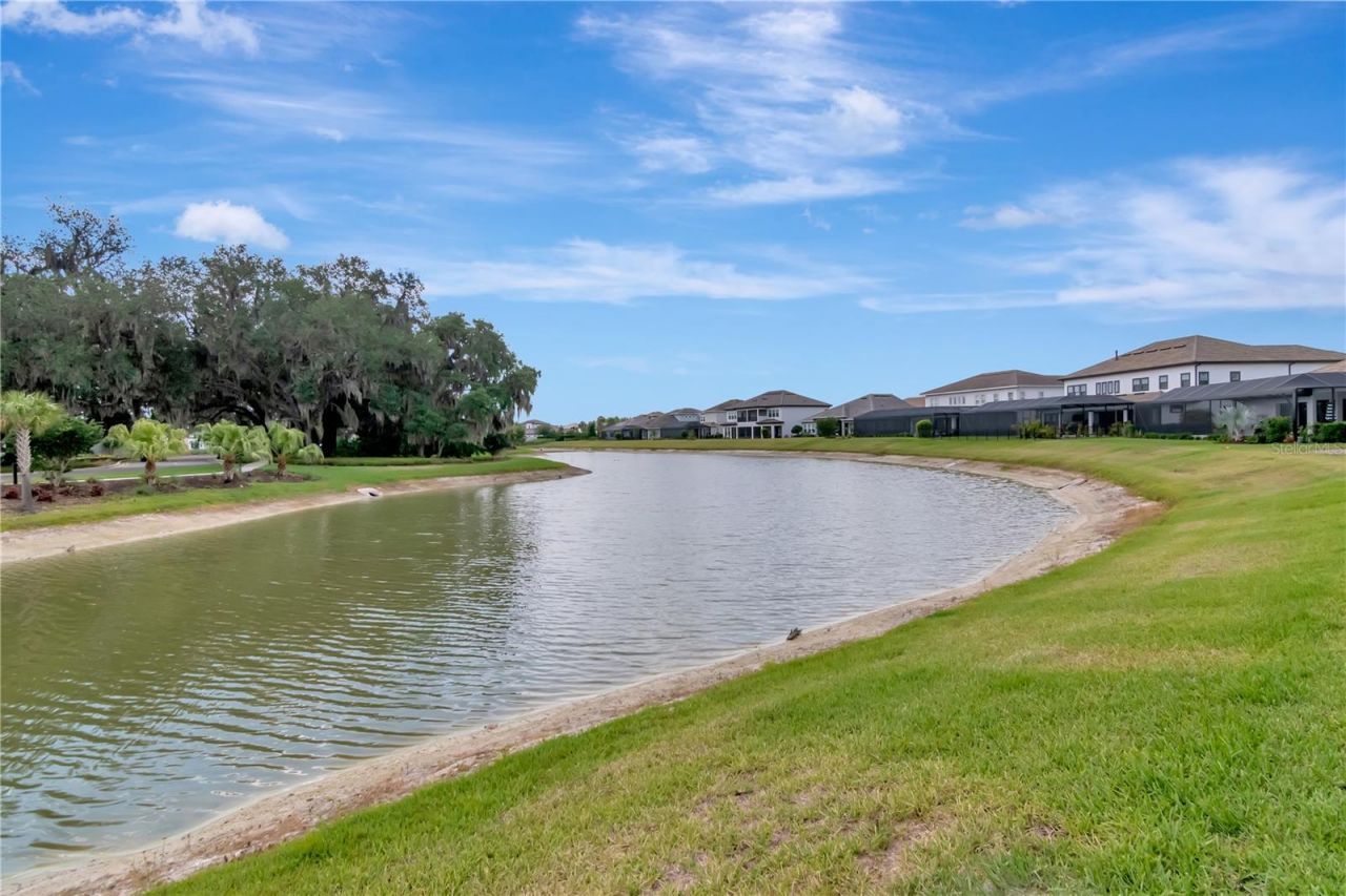 2686 Meander Cove, Wesley Chapel, FL 33543 Photo
