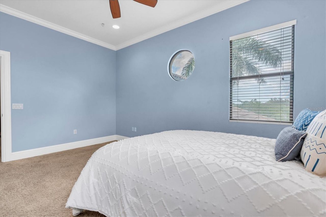 1067 Ashland Avenue, Tarpon Springs, FL 34689 Photo