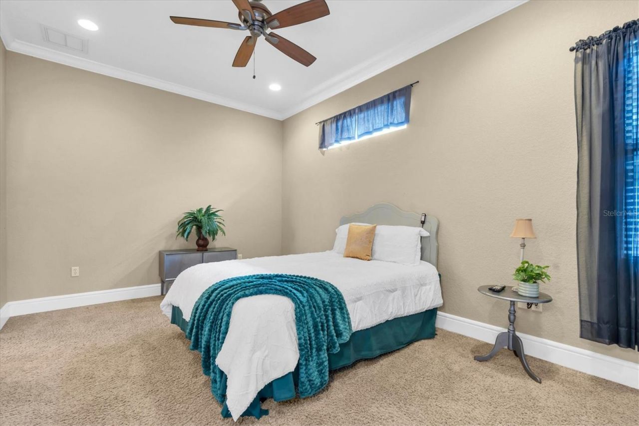 1067 Ashland Avenue, Tarpon Springs, FL 34689 Photo