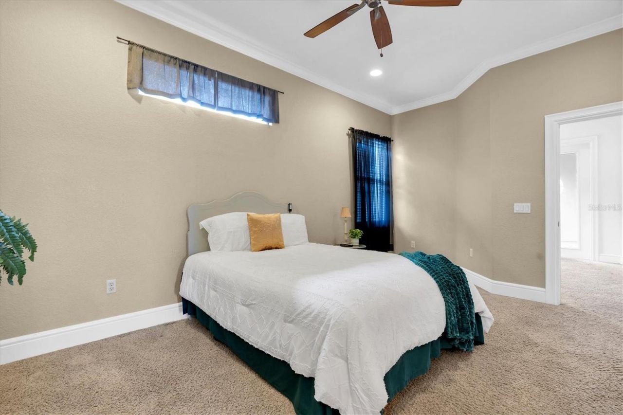 1067 Ashland Avenue, Tarpon Springs, FL 34689 Photo