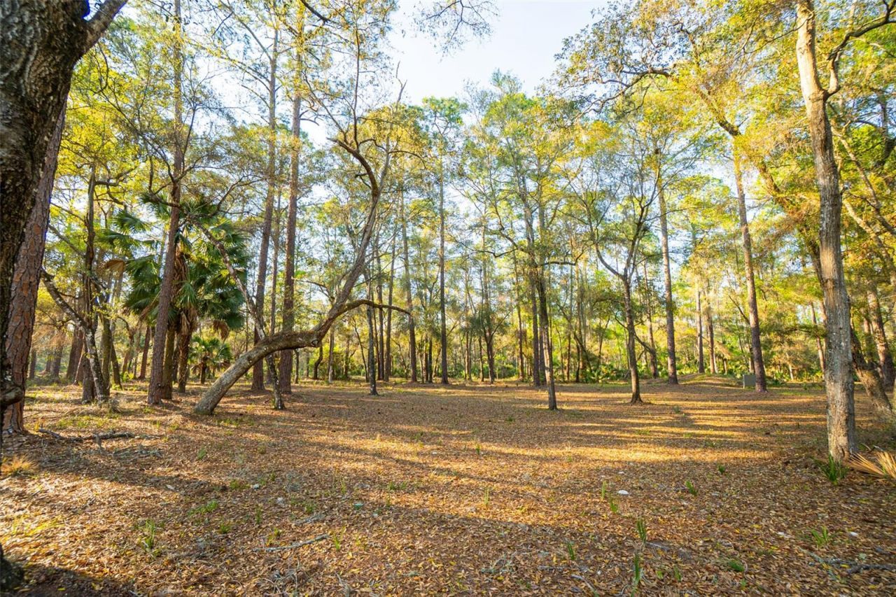 8600 NE 147th Avenue Road , Silver Springs, FL 34488 Photo