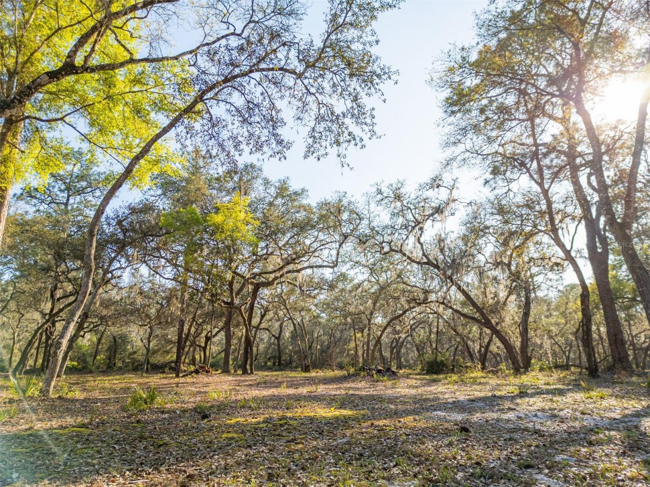 8600 NE 147th Avenue Road , Silver Springs, FL 34488 Photo