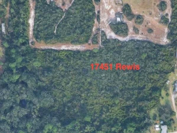 17451 Rewis RD , ALVA, FL 33920