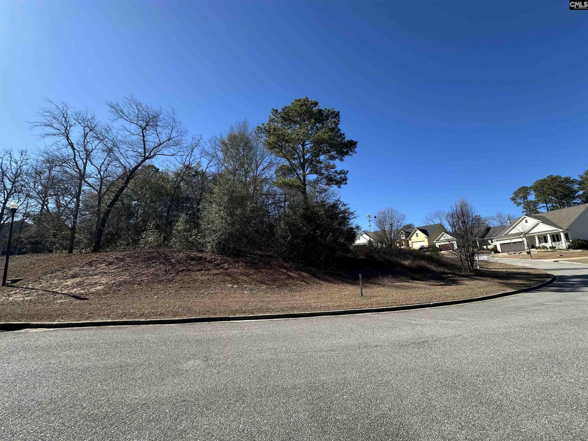 124 Mayhaw Drive  Photo 10
