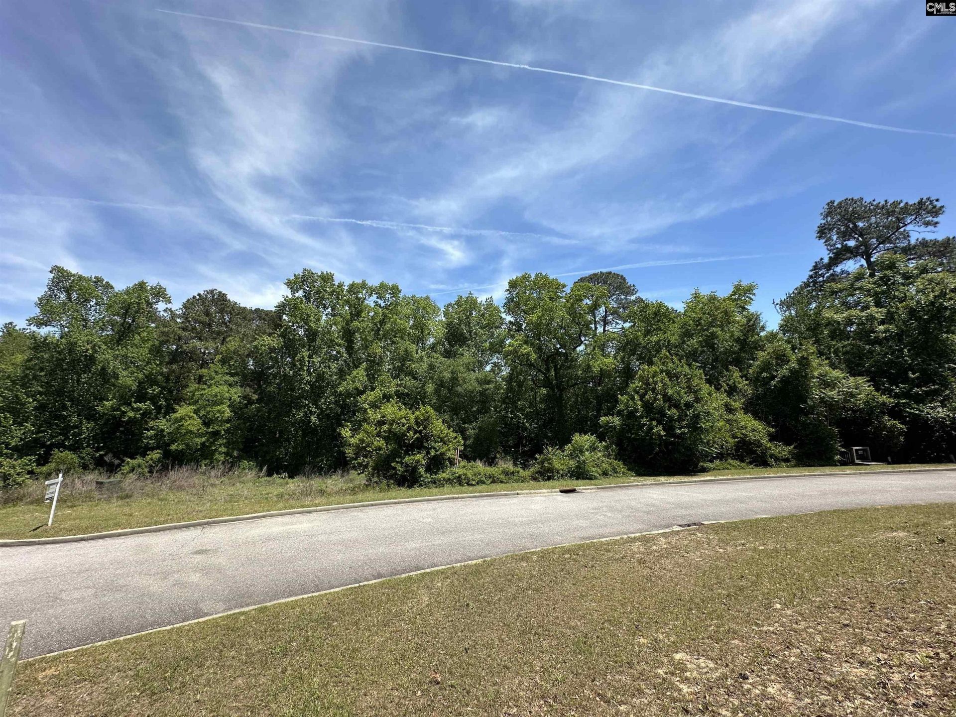 124 Mayhaw Drive  Photo 5