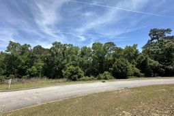 124 Mayhaw Drive  photo 4