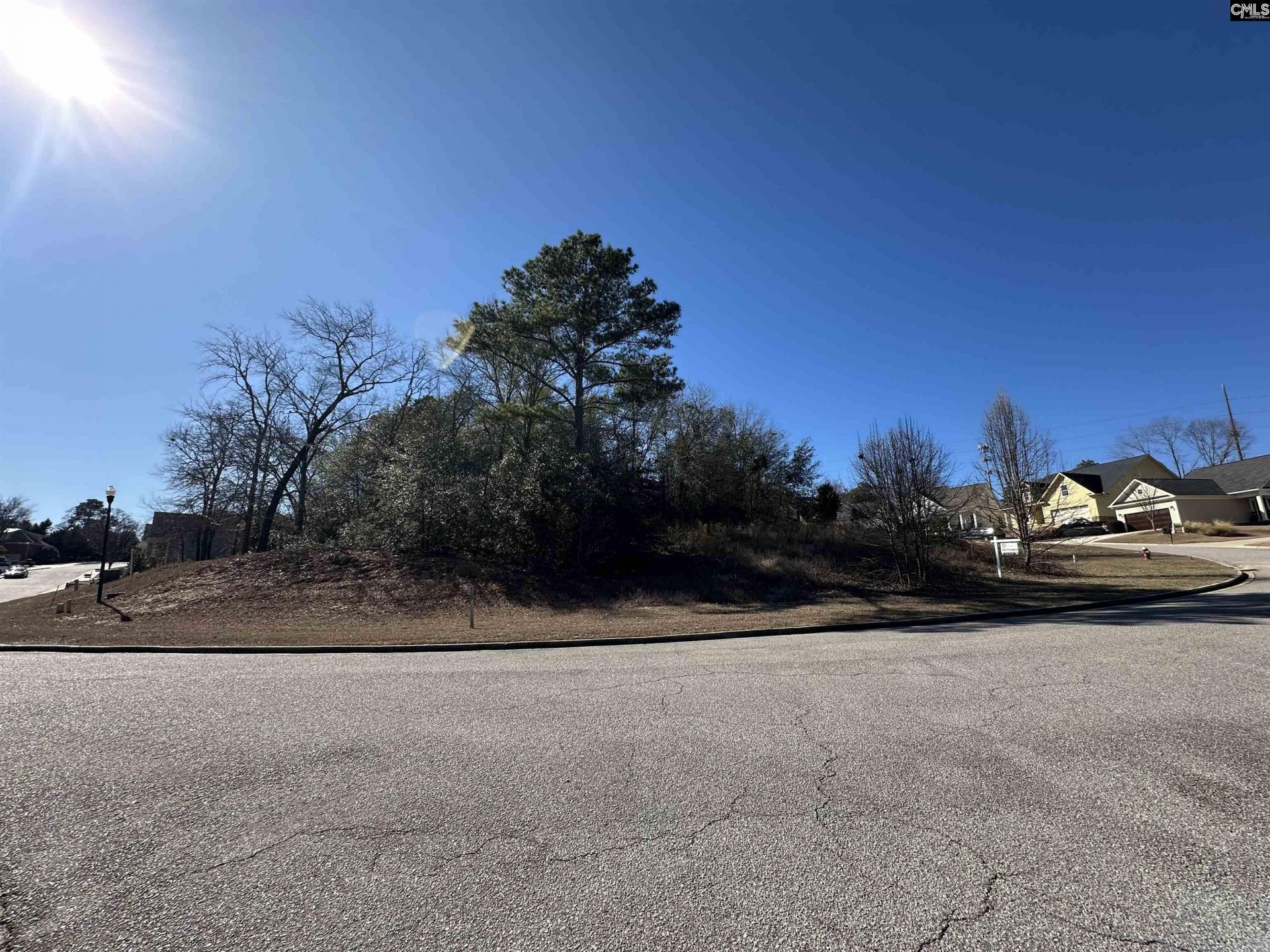 122 Mayhaw Drive  Photo 11