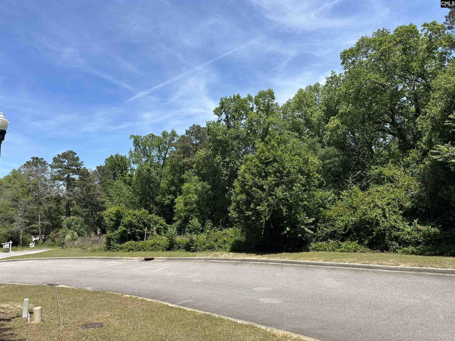 122 Mayhaw Drive  Photo 5