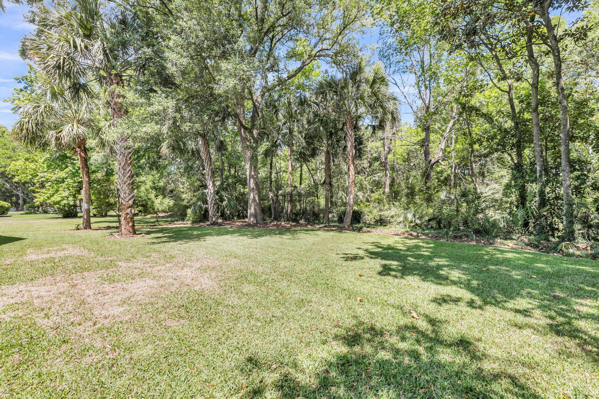 118 Scott Street Photo 49