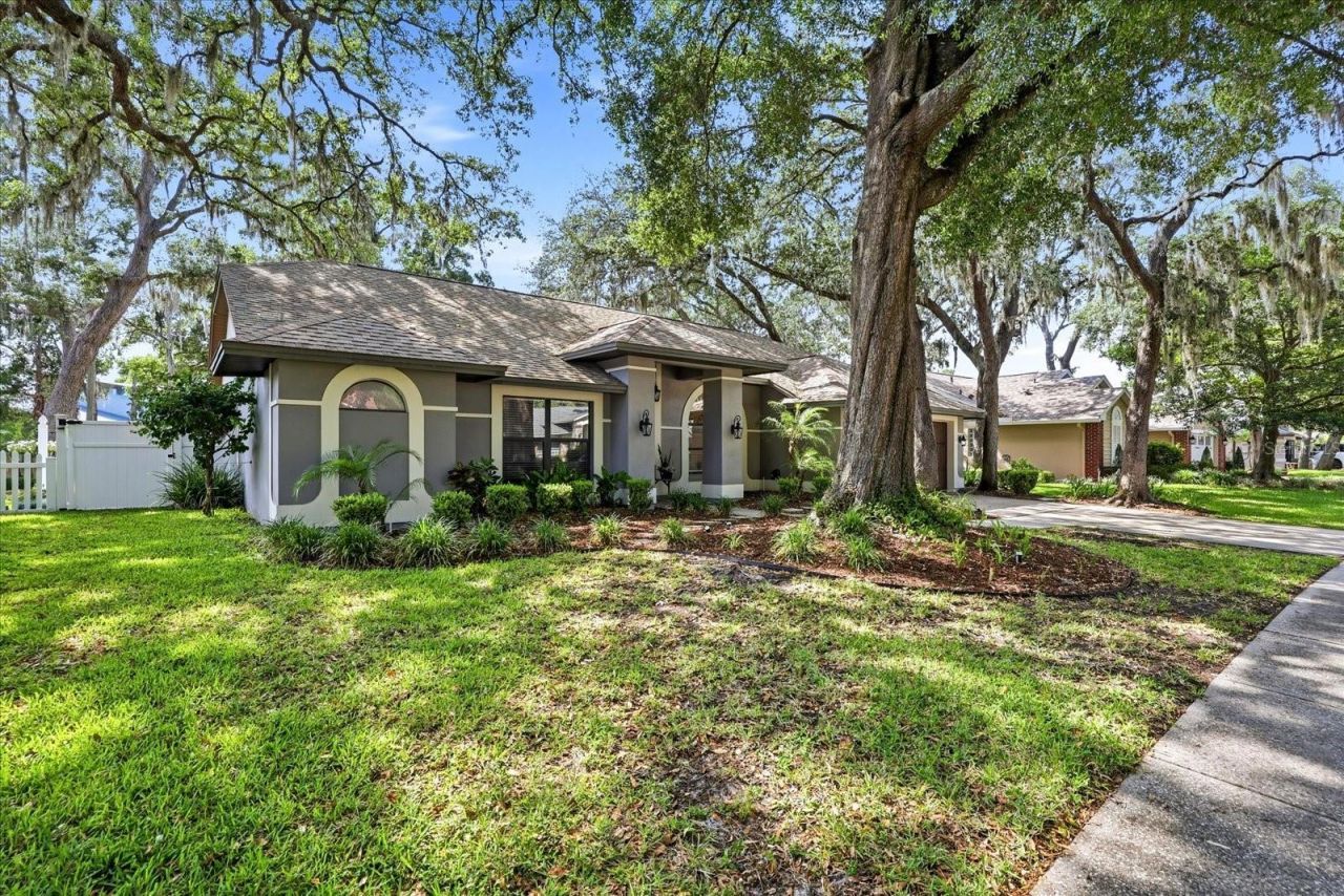 1445 Waterwood Drive, Lutz, FL 33559 Photo
