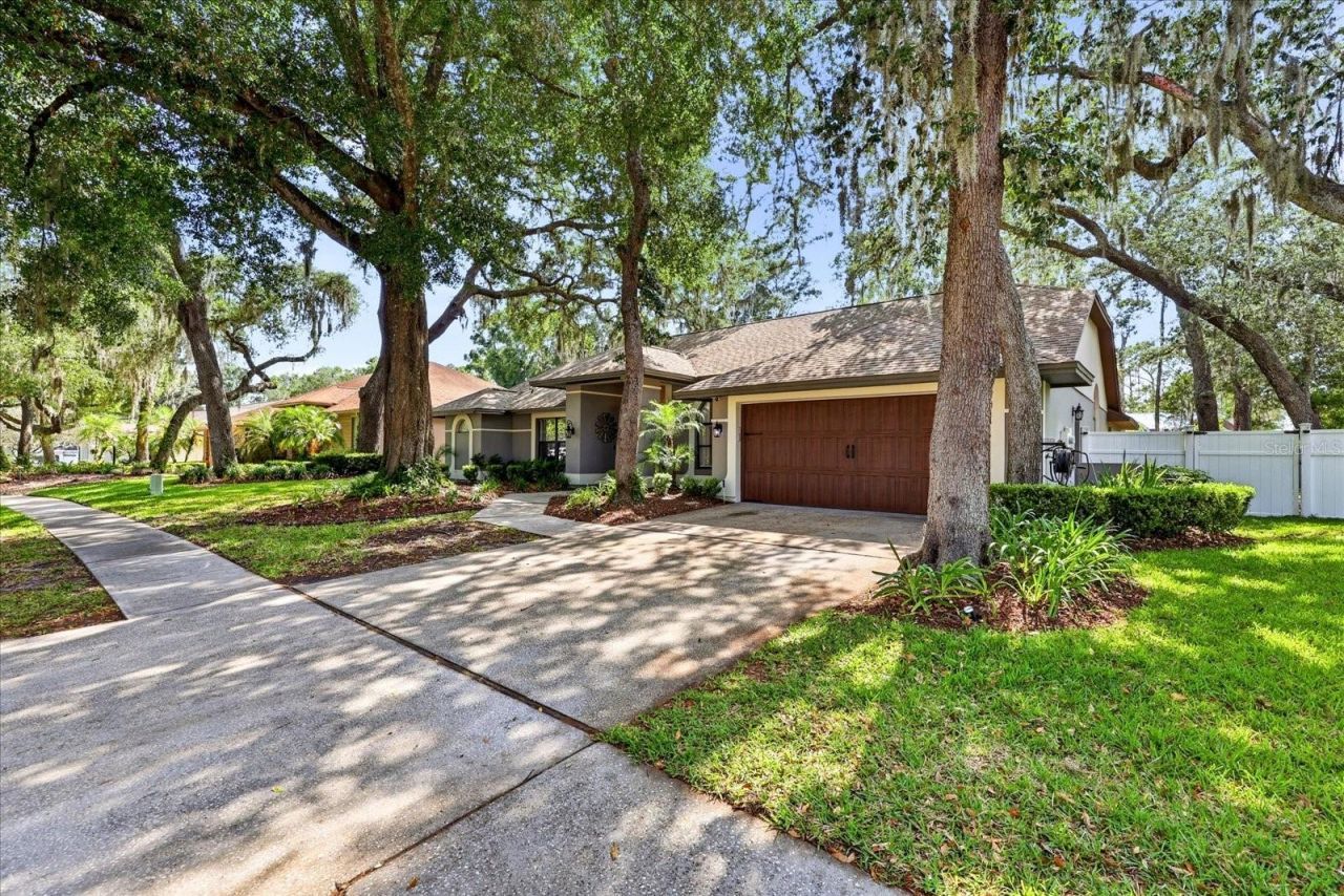 1445 Waterwood Drive, Lutz, FL 33559 Photo