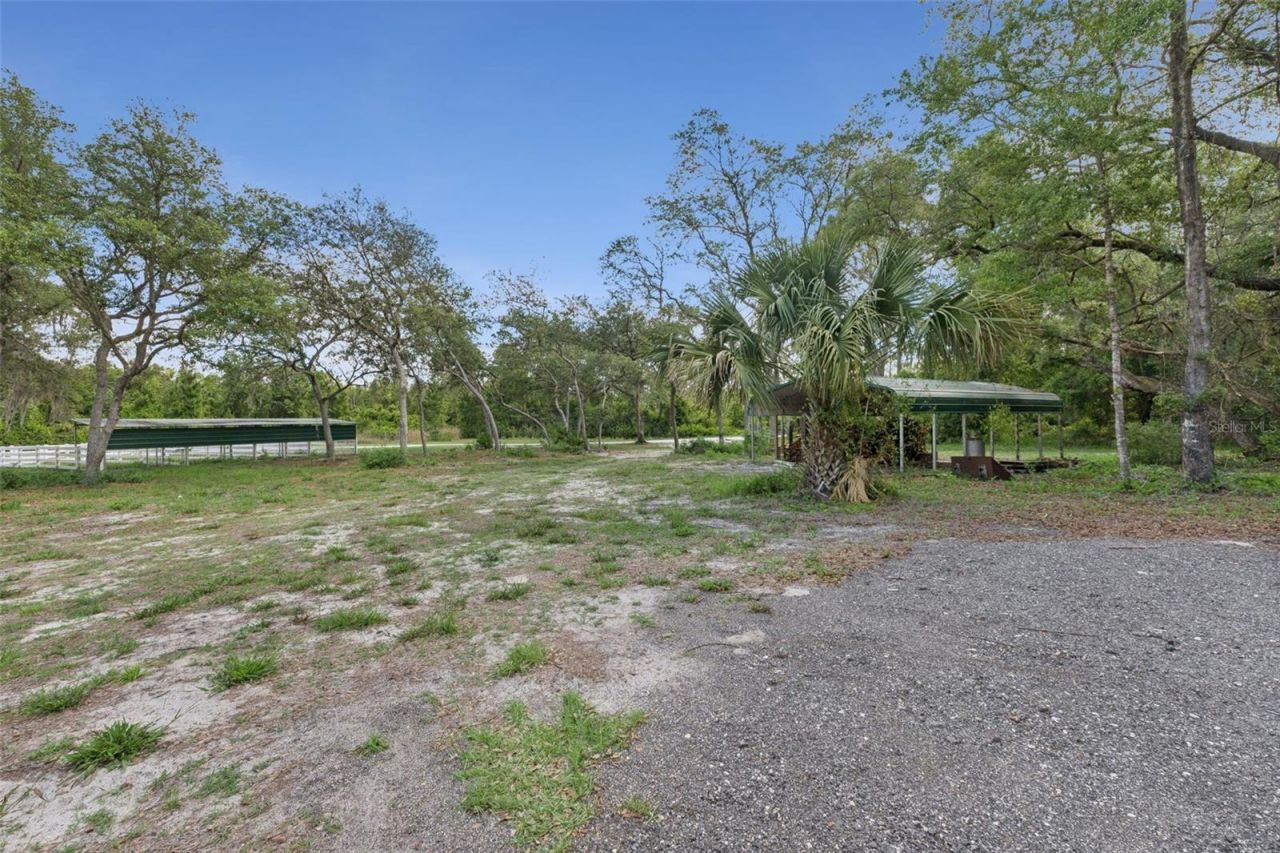 1140 Buckles Road , Pierson, FL 32180 Photo