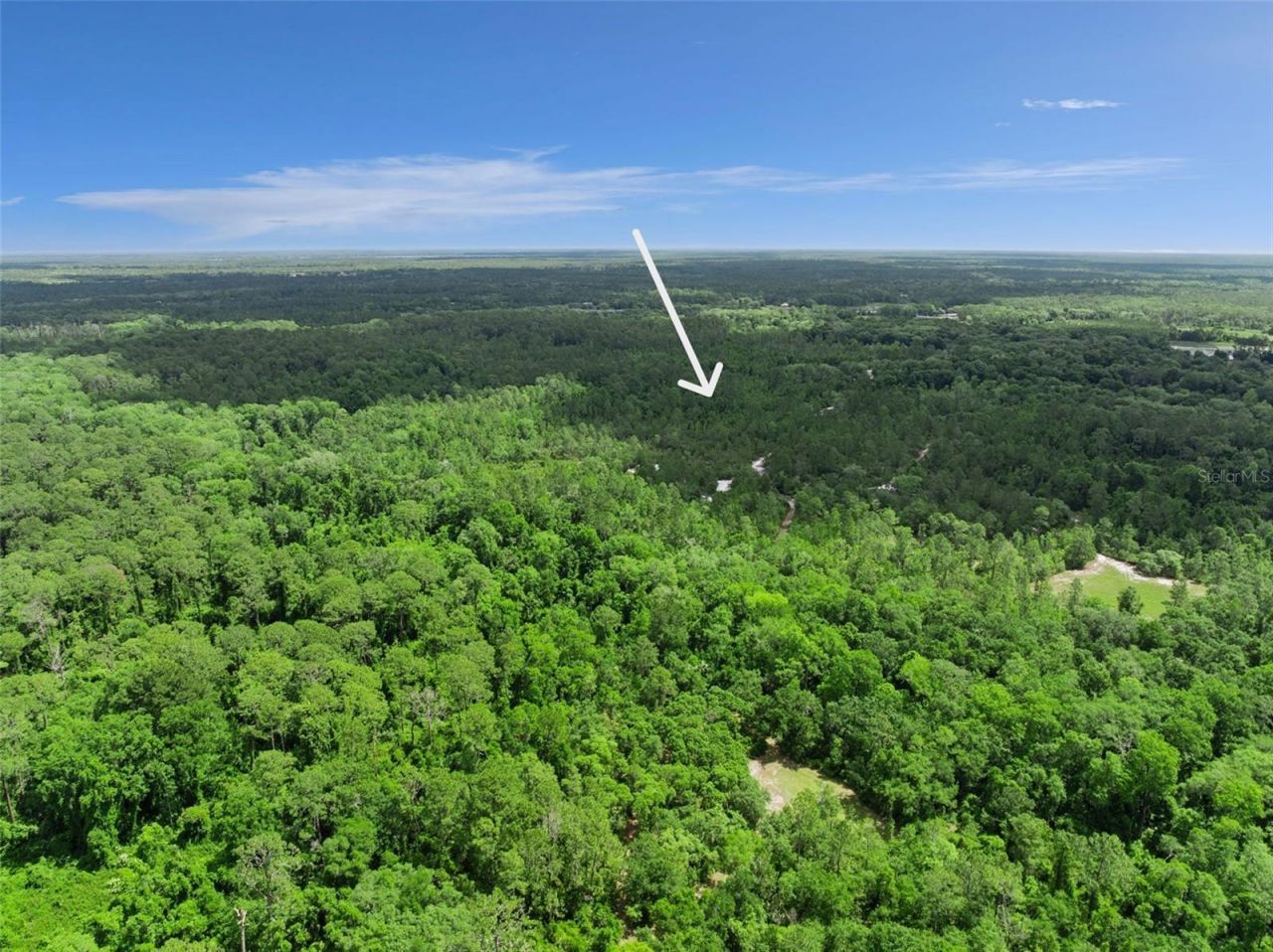1140 Buckles Road , Pierson, FL 32180 Photo