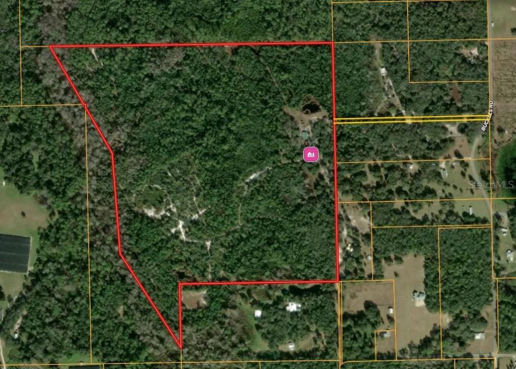 1140 Buckles Road , Pierson, FL 32180 Photo