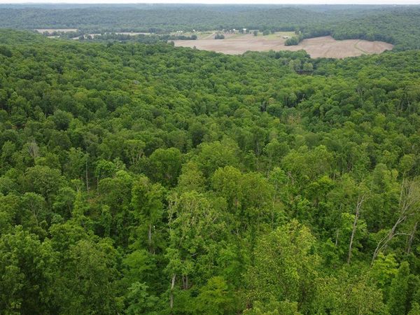 48 Acres Marvin Powell Road , Elkton, KY 42220